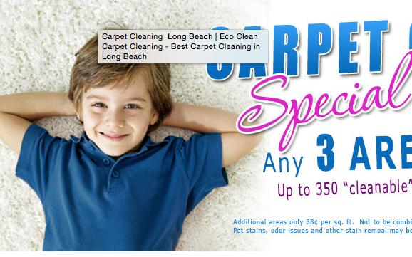 EcoClean Dry Carpet Cleaning