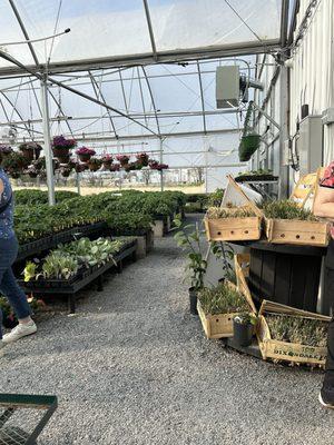 Sunshine Nursery Too