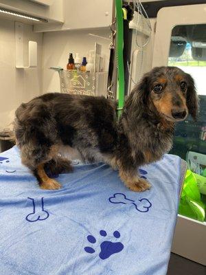 Woofie's of Morristown