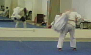 Cecil Ryu Martial Arts