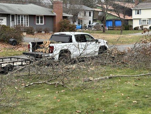 Two Brothers Tree Service & Landscaping