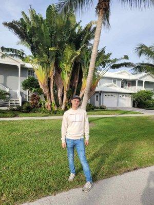 AYR Cannabis Dispensary Bonita Springs