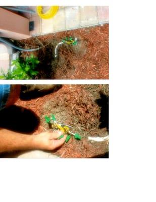 M&M Professional Grounds Maintenance