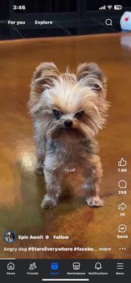 This is just plain wrong and bad for business