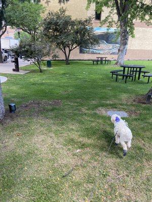centennial park