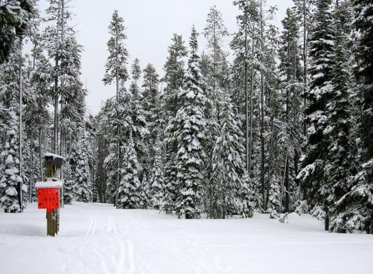 Chief Joseph Cross Country Ski Trail