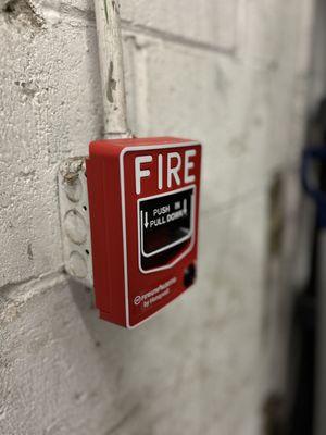 Prestige Protection Services