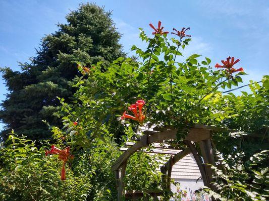 Baldwin Community Garden