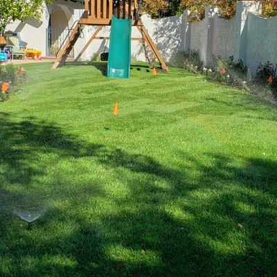 Rafa's Landscaping Service