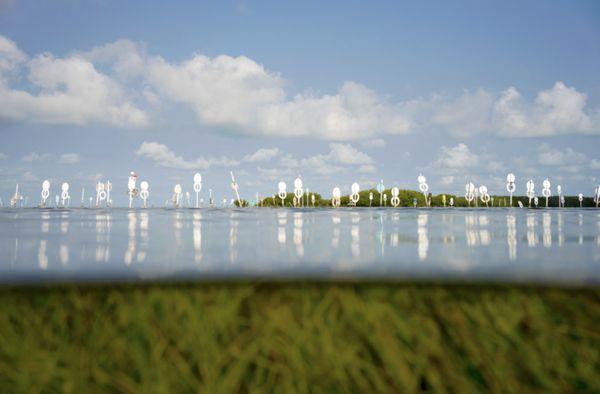 Deana Jorgensen Photography