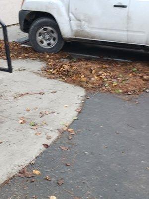 Performance Property Management