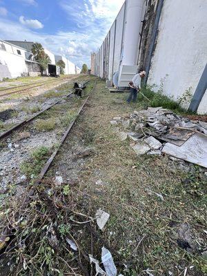 Roberto's Landscape & Maintenance