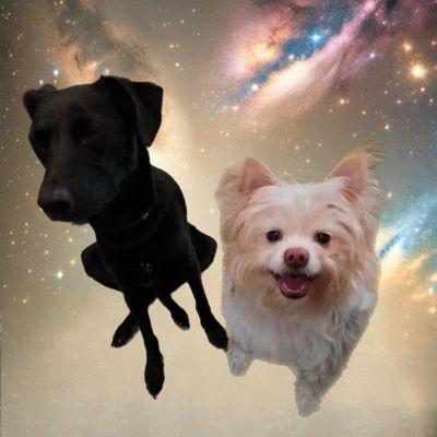 Nora Veterinary Clinic