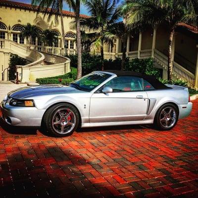 TMS Autosports Collection