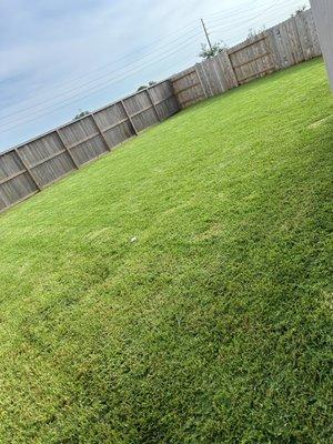 Green Paradise Landscaping