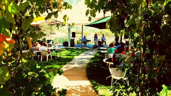 Janet Hammer Presents