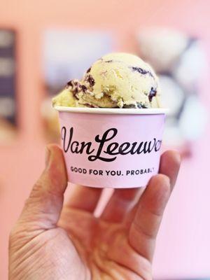Van Leeuwen Ice Cream