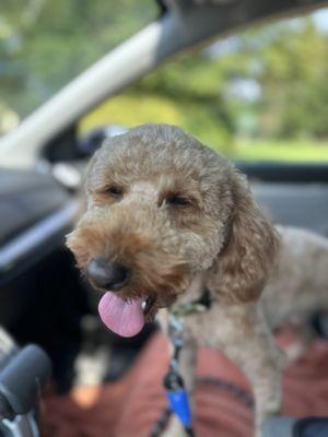 Tyson is happy with his cut