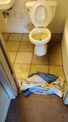 Village 34 Apartments