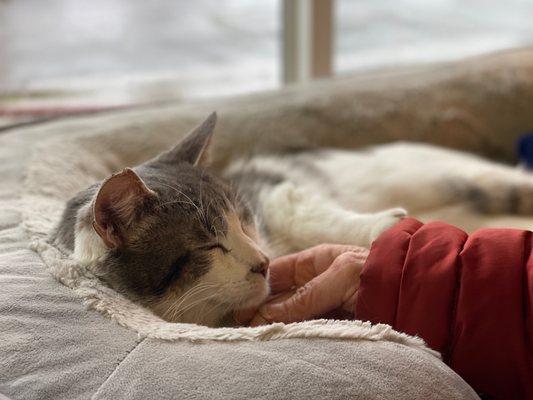 FieldHaven Marketplace