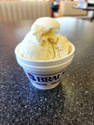 No Sugar Added Vanilla Bean Ice Cream