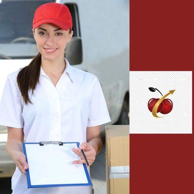 CherryGo Senior Errand & Messenger Services