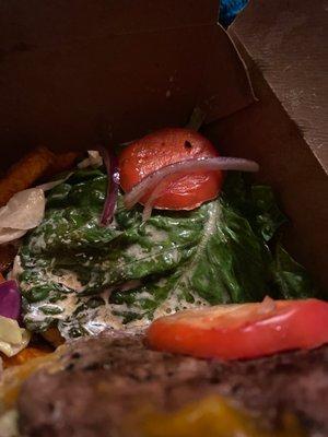 A burger with no onions?