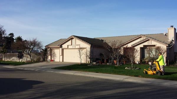 Martinez Bros. Landscape