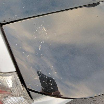 Car wash didn't clean