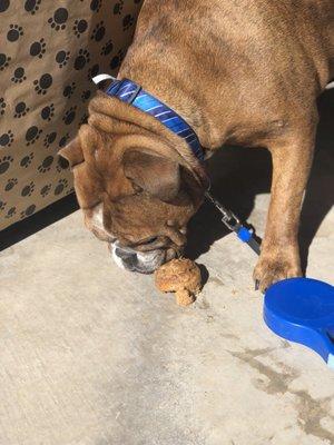 MorningStar Apartments