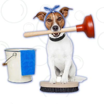 G Youe Cleaning Services