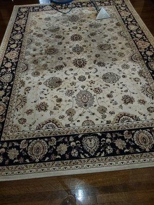 Wall to Wall Carpet Cleaning