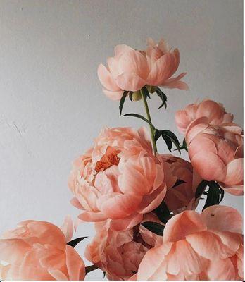 In Bloom Spa and Soul