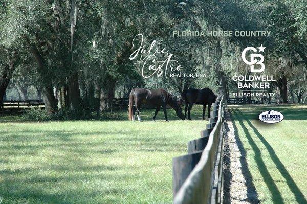 Julie Castro - Coldwell Banker Ellison Realty