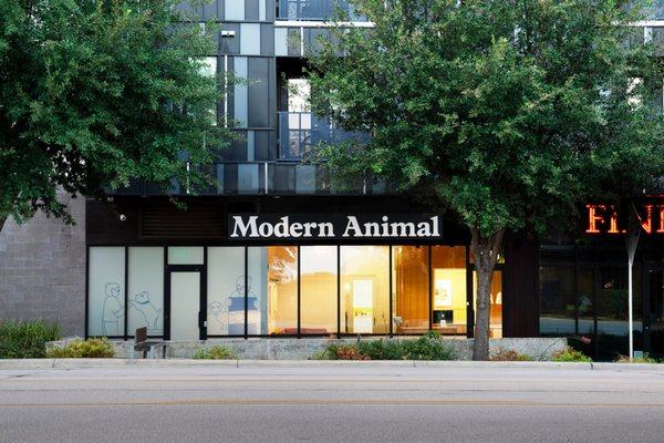 Modern Animal