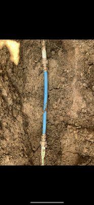 Gopher Excavation