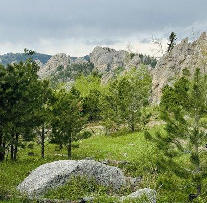 Black Hills National Forest