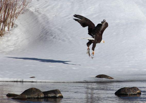 Dinner on the Big Hole
Laureen Hensley
516 W 3rd St
Anaconda, Montana 59711