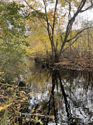 South Kingstown Land Trust Sculpture Park/Trail
