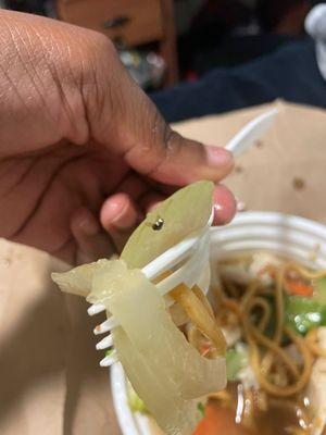 The fly that was in my food