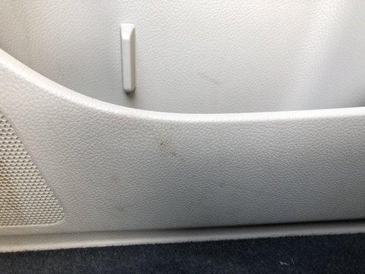 Iguana Wanna Car Wash