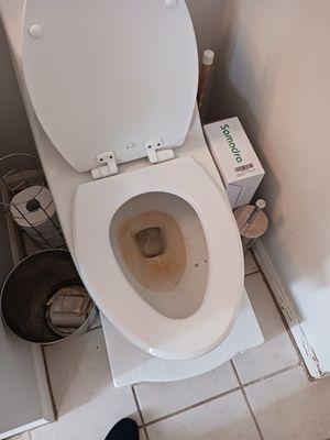 Busy bee cleaning service