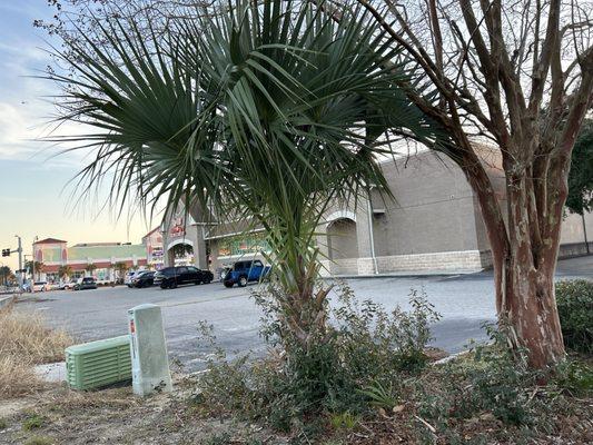 Bin Depot / Eagles / surf shop