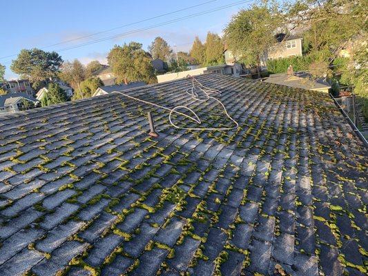 Rip City Roof Cleaning