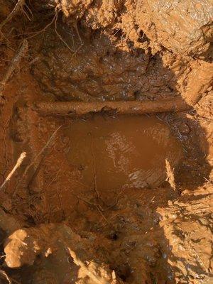 Veteran Plumbing Services