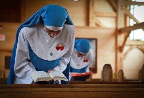 Order of the Sacred & Immaculate Hearts of Jesus & Mary