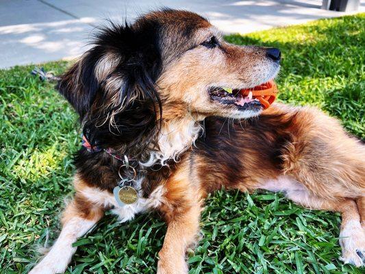 Canyon Crest Towne Centre