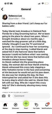 Kristy's Dog Grooming