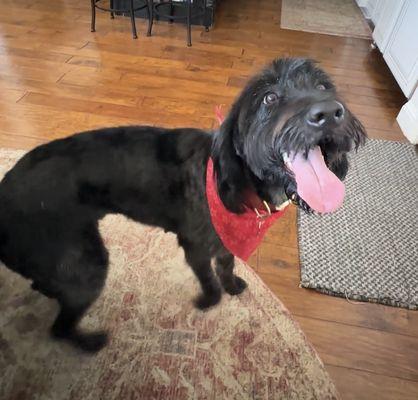 First groom! Looks great.