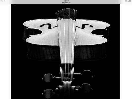 String Theory Violins